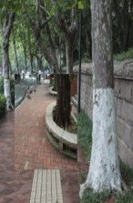 深圳市上东湾道项目临时道园林工程要用的水泥拼花砖同城价格实在